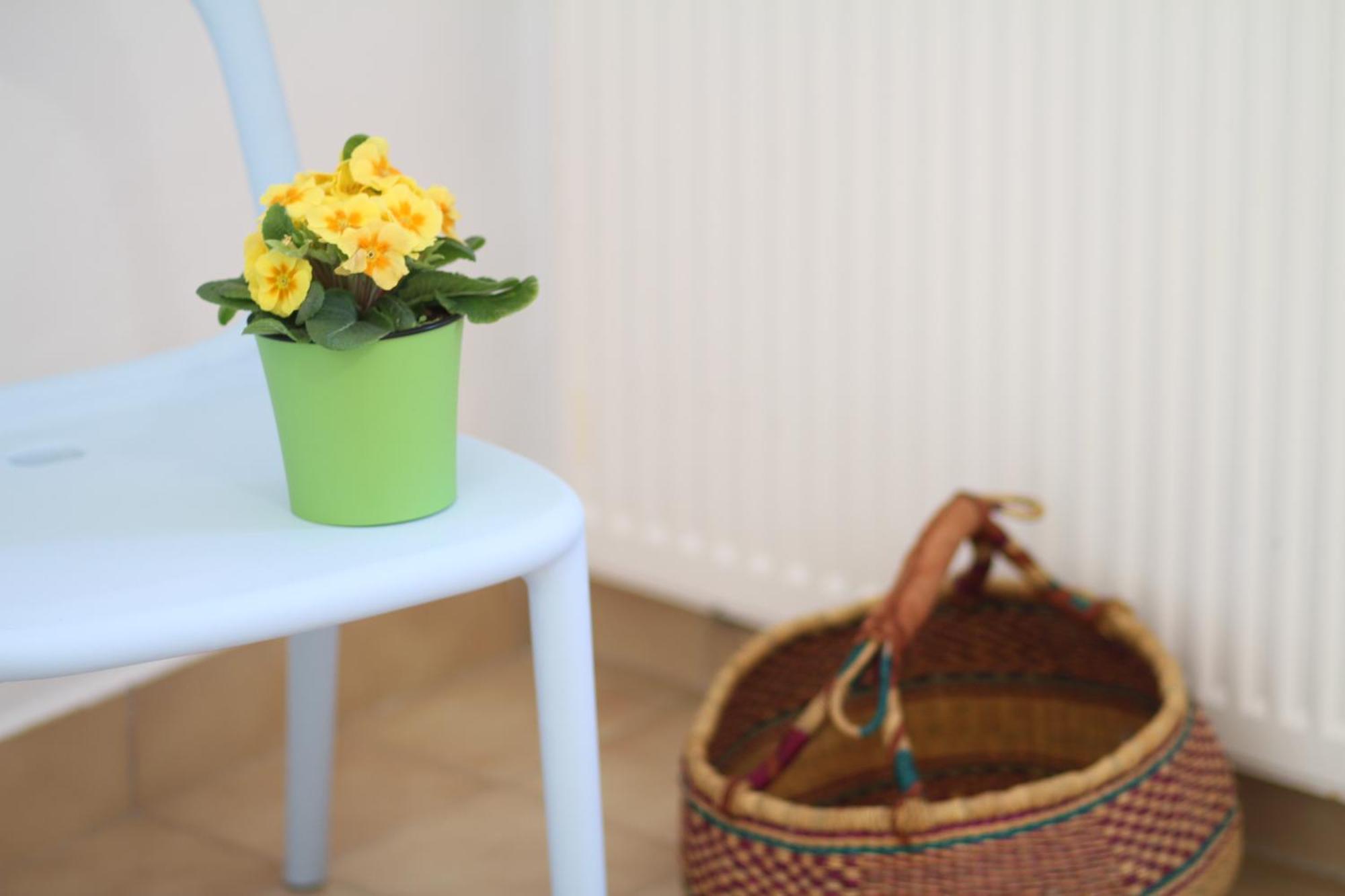 Apartament - Compartir Cadaqués Zewnętrze zdjęcie